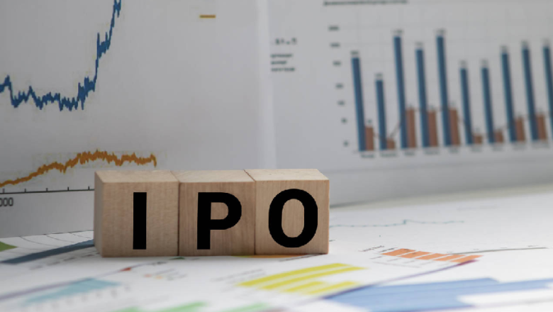 What Should You Check before Deciding upon the IPO Investment?