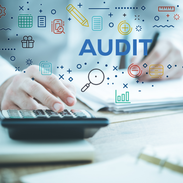 How to Prepare for a Financial Audit? 